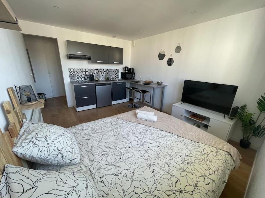 Studio Cosy Rue Alexander Taylor, Wifi, 2 Pers Pau Εξωτερικό φωτογραφία
